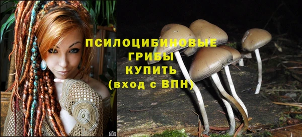винт Алзамай