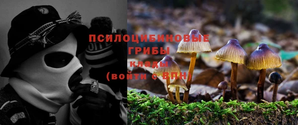 винт Алзамай
