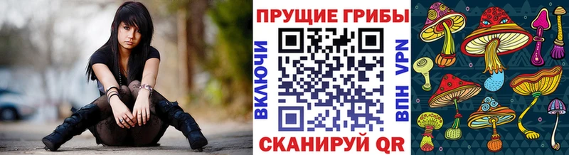 Галлюциногенные грибы мицелий  Березники 